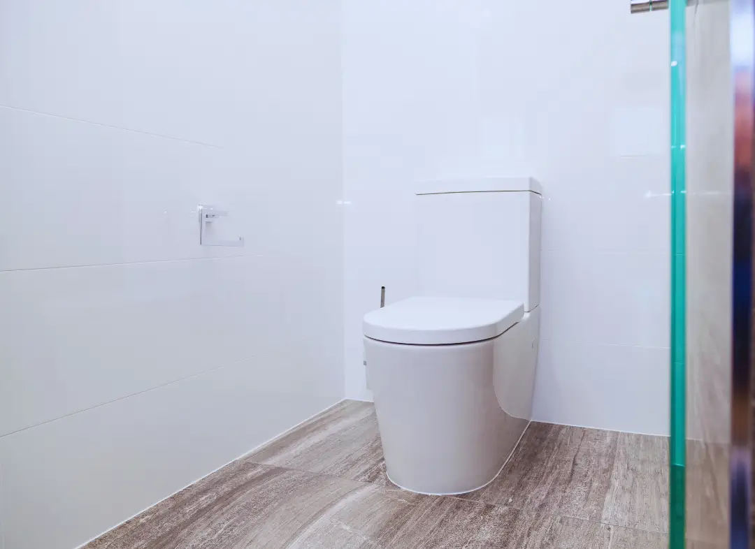 Remplacement de wc Bonneval